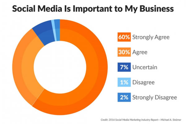 Pie chart about how social media is important to business
