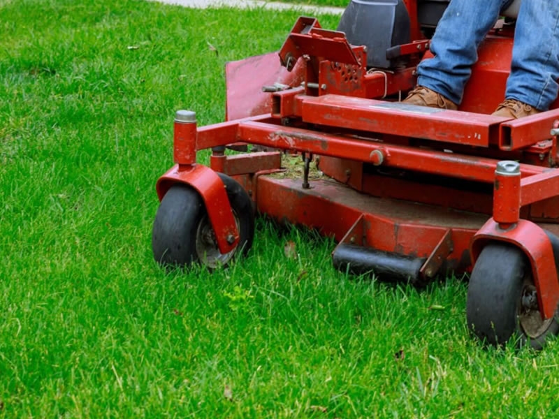 Instagram for Landscaping Companies