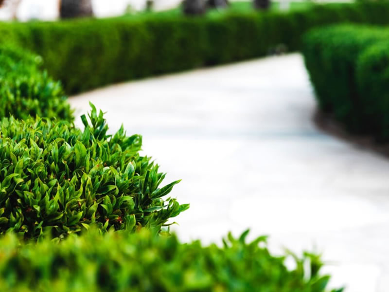 Instagram Strategy for Commercial Landscaping