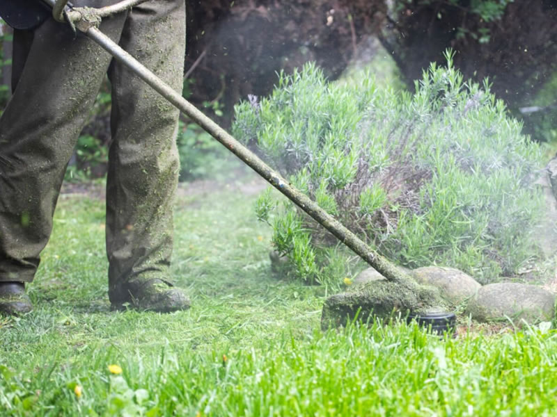 Winning Instagram Strategy for Commercial Landscaping Companies