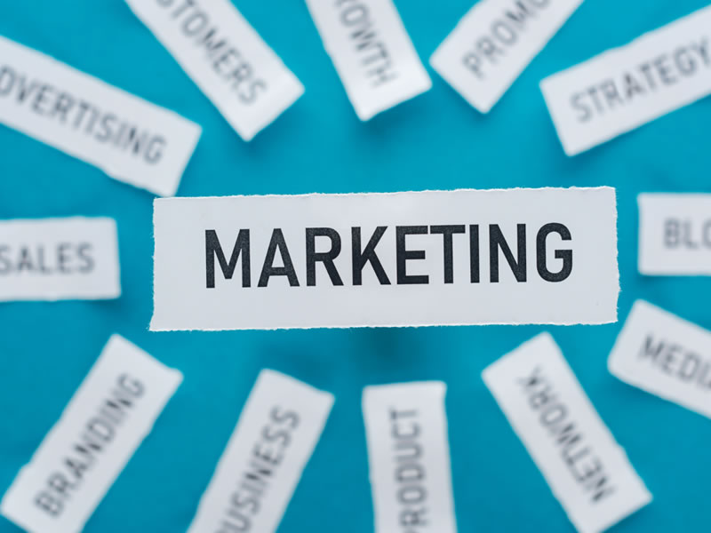 Creating a Memorable Brand Identity Online Conclusion