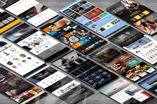 Website Development