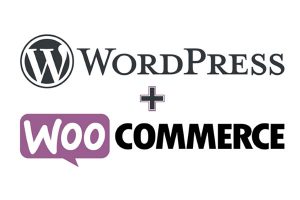 eCommerce design logos for WordPress and Woocommerce More Search Services