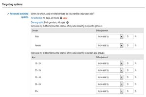 Bing Advertising Company - Microsoft Bing Advertising