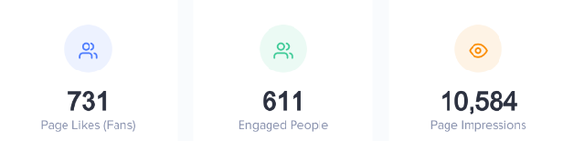 Facebook marketing campaign study digital marketing example