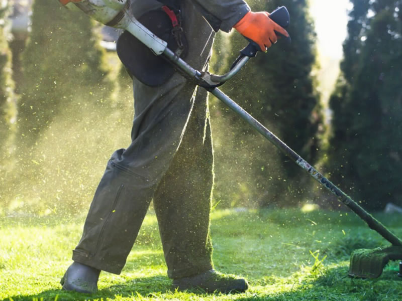 You are currently viewing Winning Instagram Strategy for Commercial Landscaping Companies