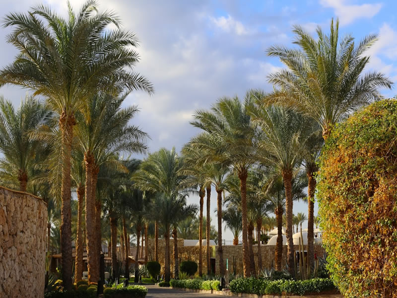 Marketing Tips for Commercial Landscaping Companies