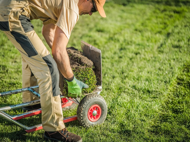 Marketing Tips for Landscaping Companies