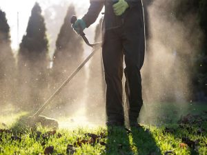 Read more about the article 6 Great Marketing Tips for Landscaping Companies