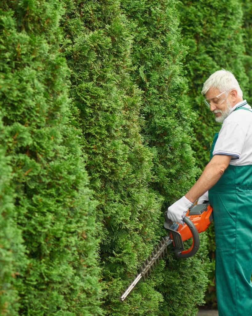The Complete Local Search Strategy for Landscaping Companies